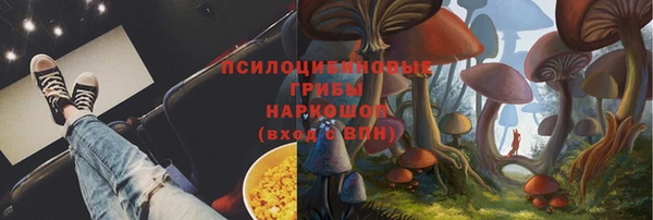 сатива Переславль-Залесский