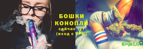 ПСИЛОЦИБИНОВЫЕ ГРИБЫ Аркадак