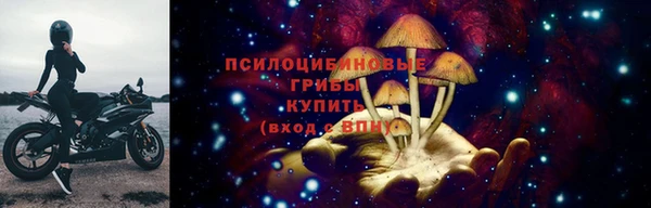 прущий лед Пересвет