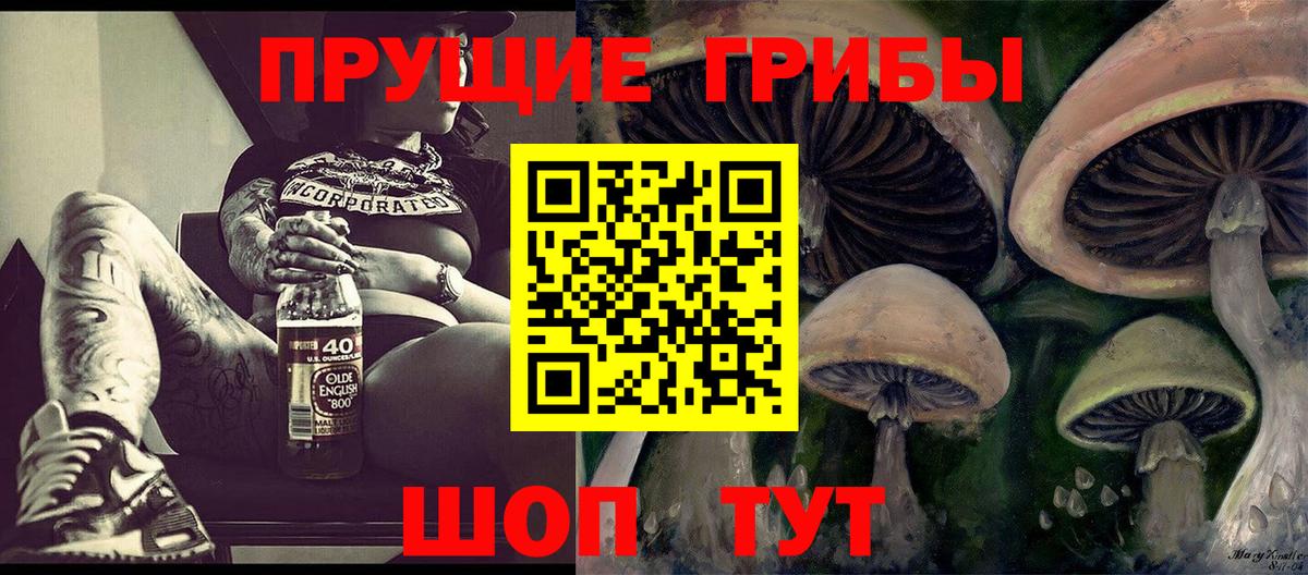 Йошкар-Ола  Псилоцибиновые грибы Magic Shrooms  Вход с VPN 